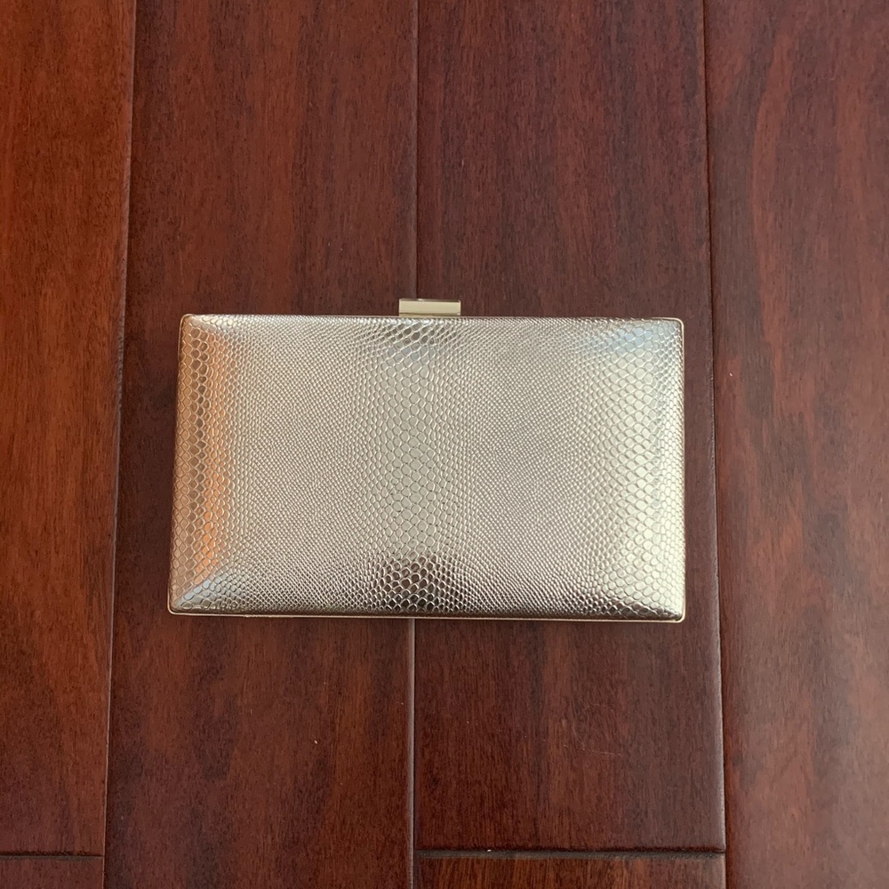 Clutch/ Petite Purse